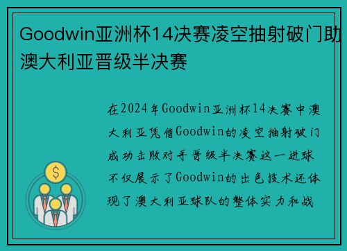 Goodwin亚洲杯14决赛凌空抽射破门助澳大利亚晋级半决赛