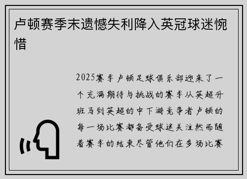 卢顿赛季末遗憾失利降入英冠球迷惋惜 卢顿赛季末遗憾失利降入英冠球迷惋惜